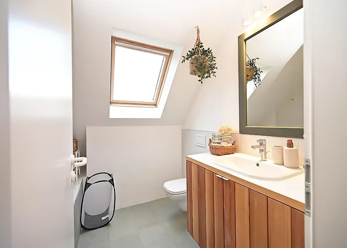 Vila Casa Luna Ravna Gora